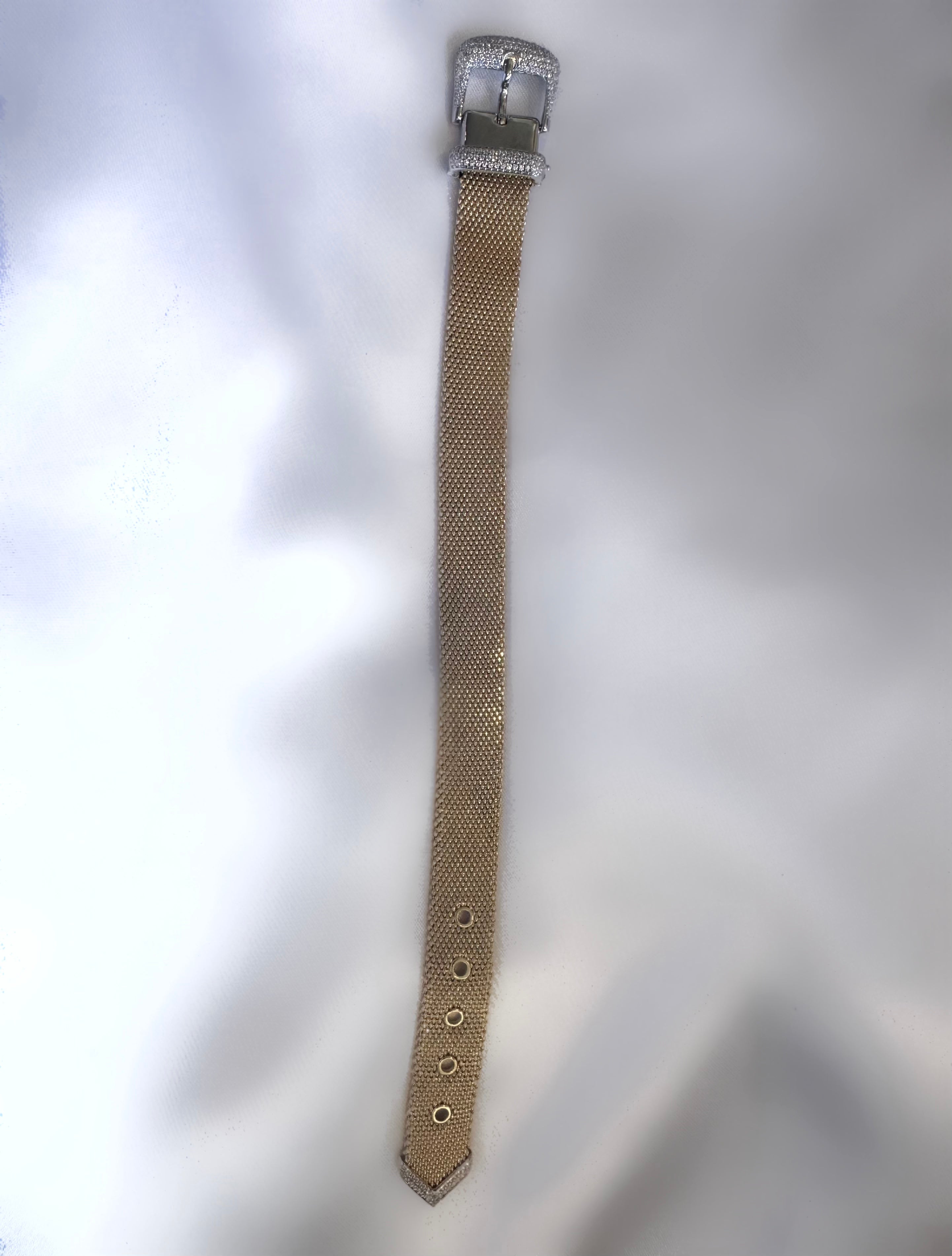 Brazalete Cruise Belt Petite (Plata 925 bañada oro 18k)