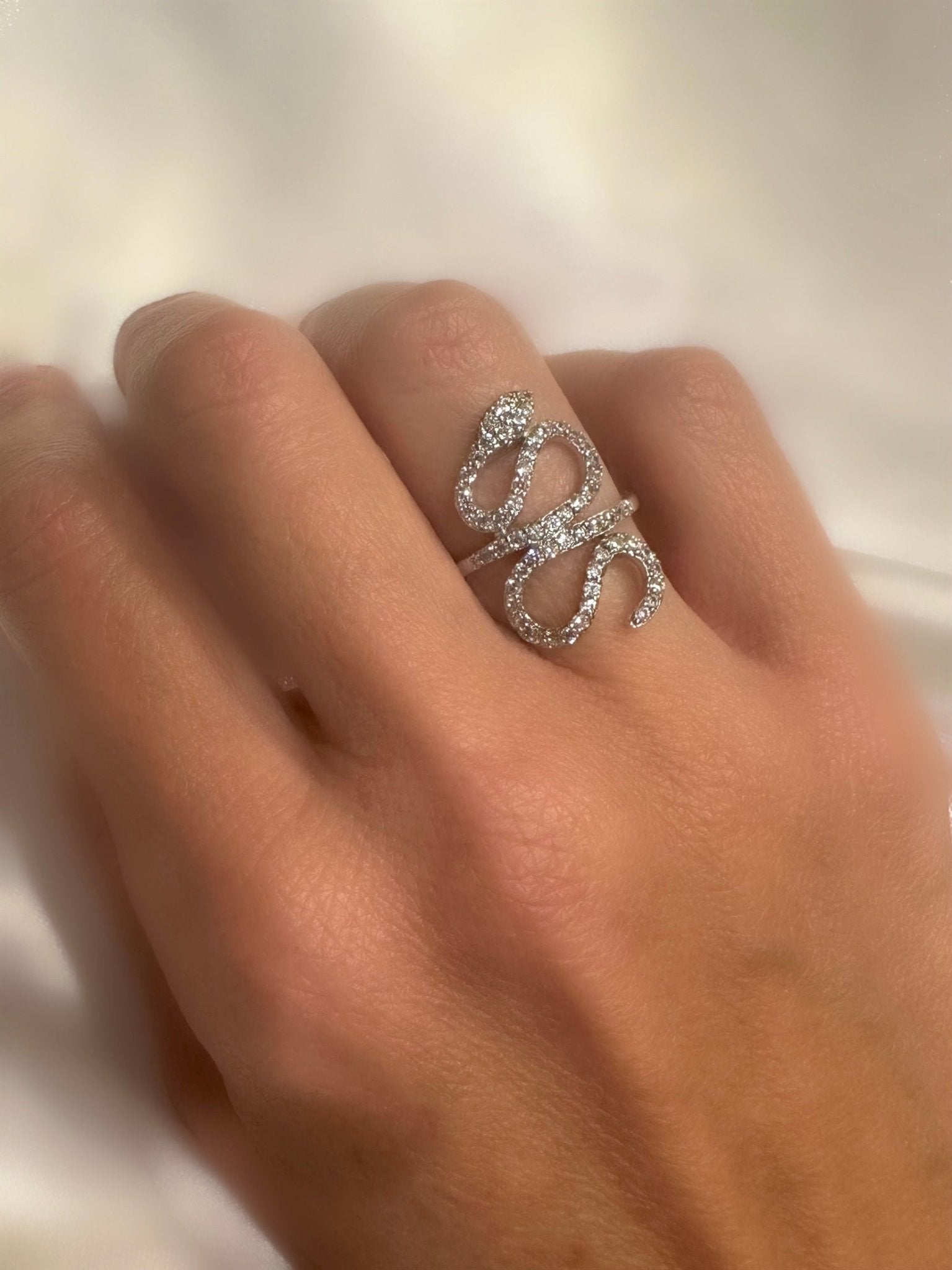 Anillo Circ Serpiente (Plata de Ley 925) (RBJ*) - LE MARSHAND™